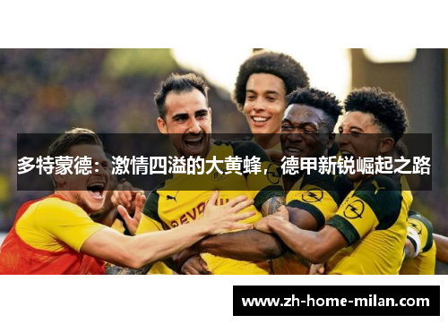 多特蒙德：激情四溢的大黄蜂，德甲新锐崛起之路