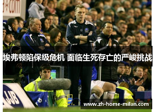 埃弗顿陷保级危机 面临生死存亡的严峻挑战